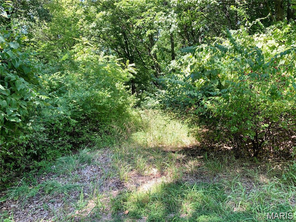 Dogwood Acres - Land