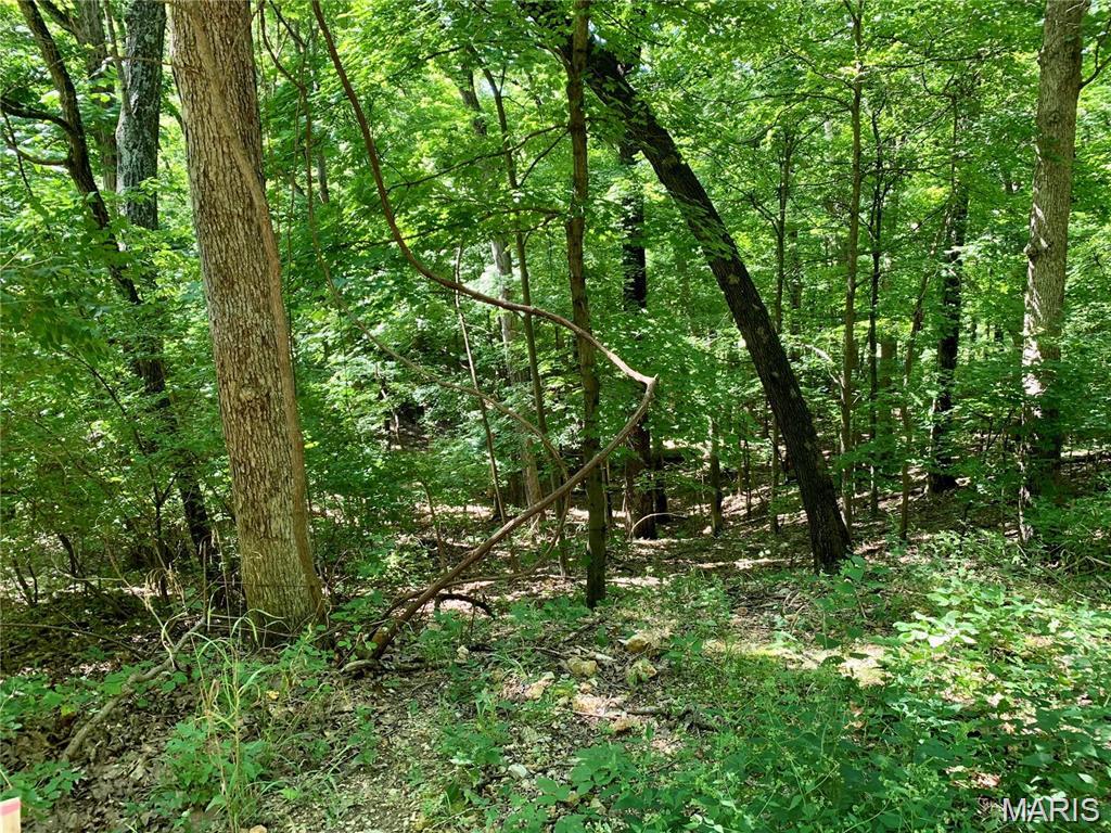 Dogwood Acres - Land