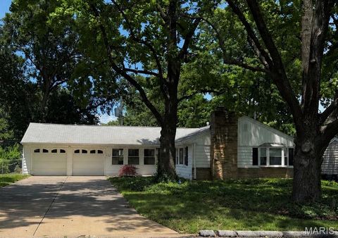 Photo of 223 Woodridge Road, Kirkwood, MO 63122 (MLS # 26035059)
