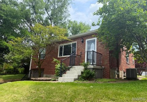 Photo of 4114 McDonald Avenue, St Louis, MO 63116 (MLS # 26027513)