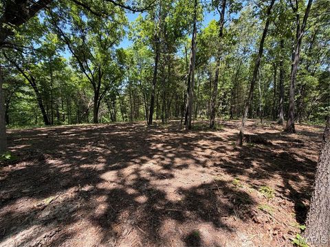 Tiny photo for 2 Buckner Rd., Wentzville, MO 63385 (MLS # 26030627)