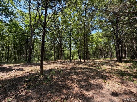 Tiny photo for 2 Buckner Rd., Wentzville, MO 63385 (MLS # 26030627)