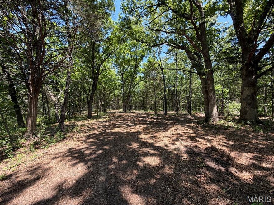 Level to gently rolling acreage ideal for building your custom dream home! Surrounded by mature trees for exceptional privacy and featuring freshly cleared brush, this property is nearly ready for construction. Ideally situated between Hwy N & Hwy Z, with quick access to I-70 and I-64, and just minutes from shopping, parks, restaurants, and everyday conveniences. Located in the highly desirable Wentzville R-IV School District!