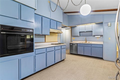 Tiny photo for 235 Eckardt Lane, Hillsboro, MO 63050 (MLS # 26058713)