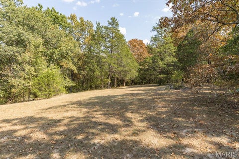 Tiny photo for 235 Eckardt Lane, Hillsboro, MO 63050 (MLS # 26058713)