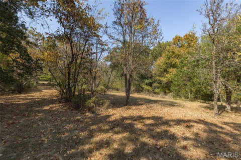 Tiny photo for 235 Eckardt Lane, Hillsboro, MO 63050 (MLS # 26058713)