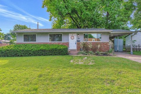 Photo of 10 Garnier Court, Florissant, MO 63031 (MLS # 26033987)