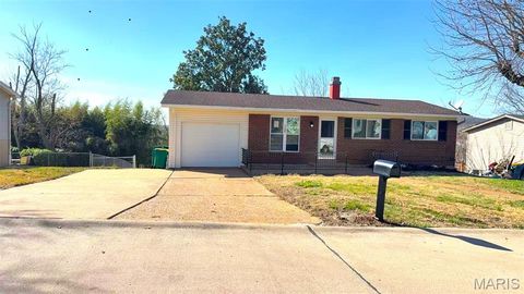 1007 Sunridge Trail Pevely MO 63070