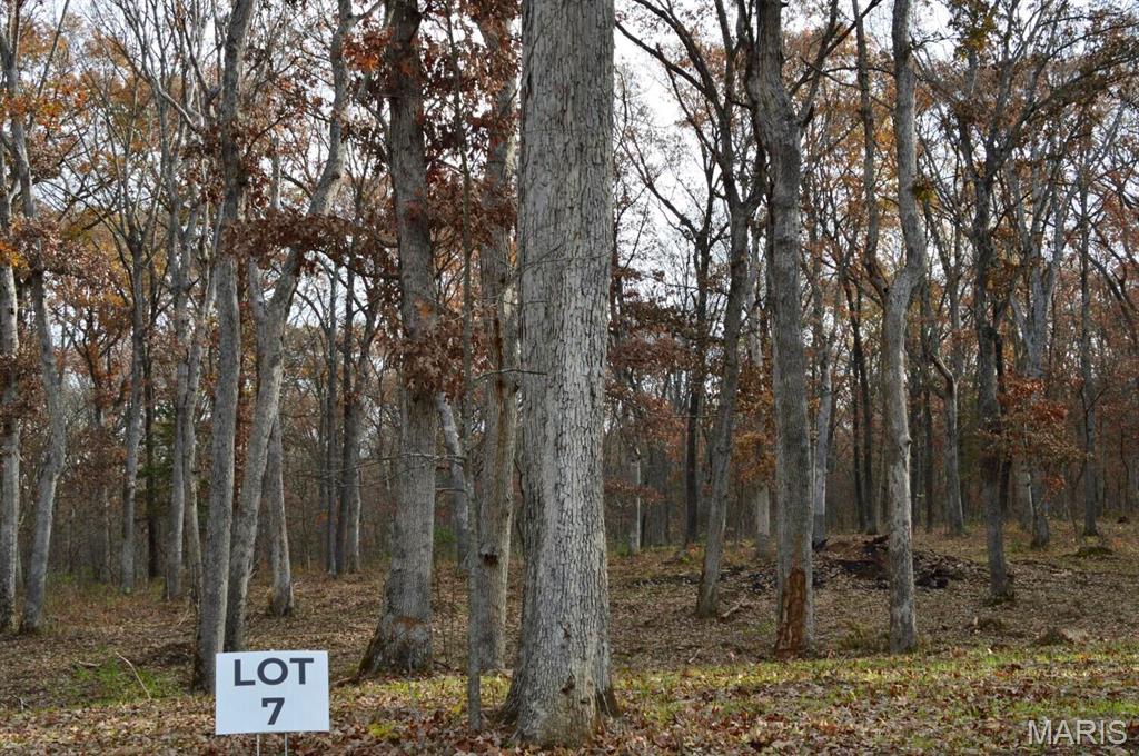 Serenity Lake Estates - Land