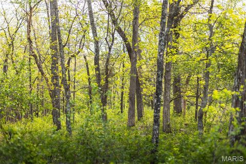 Tiny photo for TBD 00 County Road 274 #112.5, Chamois, MO 65024 (MLS # 26030195)