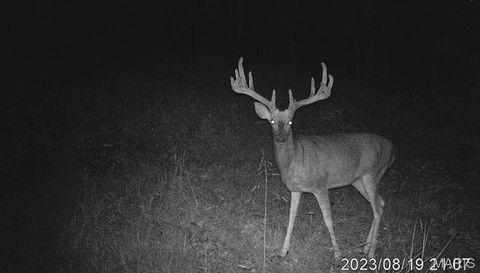 Tiny photo for TBD 00 County Road 274 #112.5, Chamois, MO 65024 (MLS # 26030195)