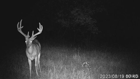 Tiny photo for TBD 00 County Road 274 #112.5, Chamois, MO 65024 (MLS # 26030195)