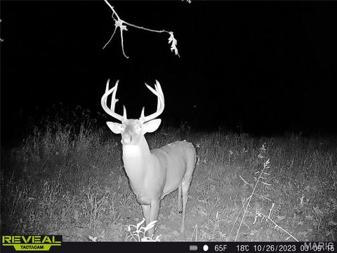 Tiny photo for TBD 00 County Road 274 #112.5, Chamois, MO 65024 (MLS # 26030195)