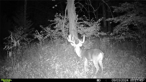 Tiny photo for TBD 00 County Road 274 #112.5, Chamois, MO 65024 (MLS # 26030195)