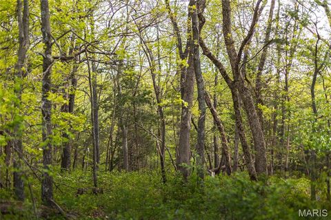 Tiny photo for TBD 00 County Road 274 #112.5, Chamois, MO 65024 (MLS # 26030195)
