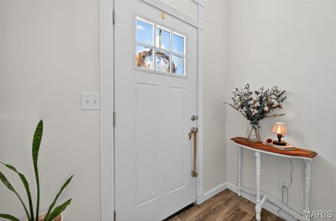 Tiny photo for 331 Cuivre Creek Court, Troy, MO 63379 (MLS # 26015793)