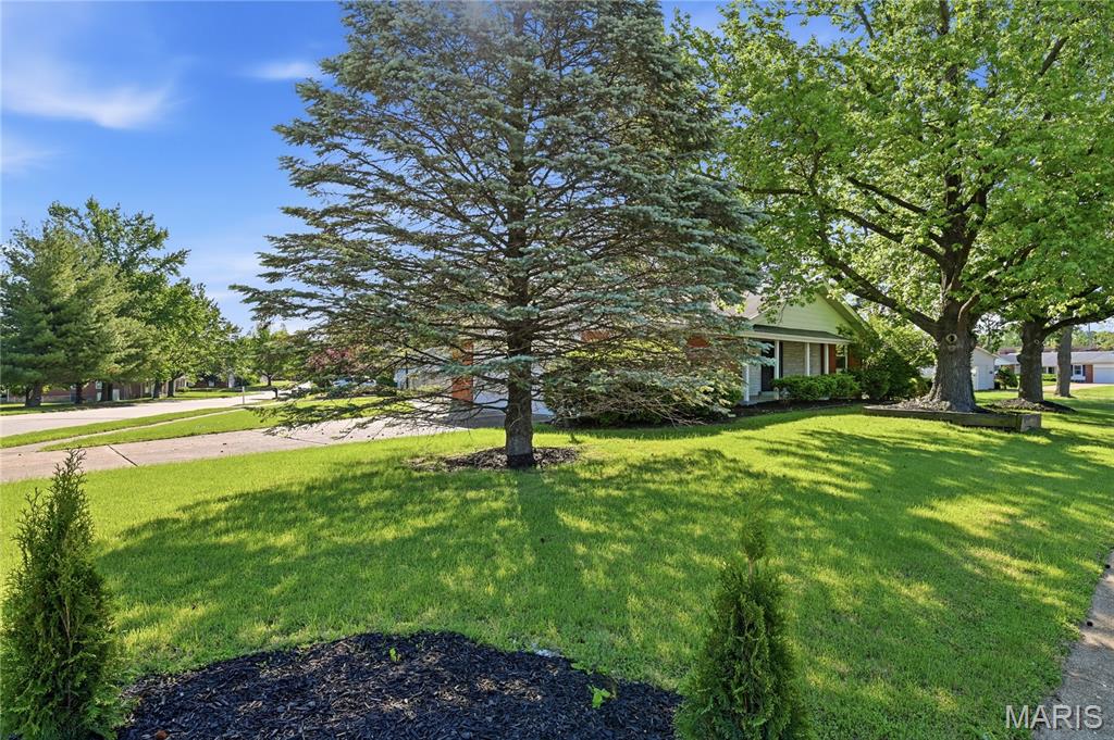 Wedgwood 8 - Residential