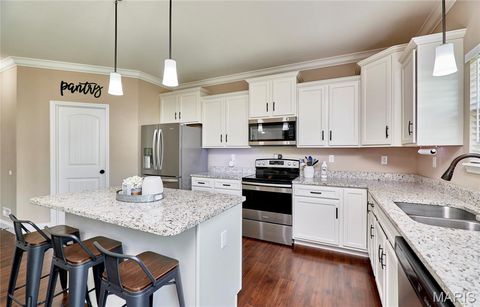 Tiny photo for 103 Pomodora Circle, Wentzville, MO 63385 (MLS # 26025659)