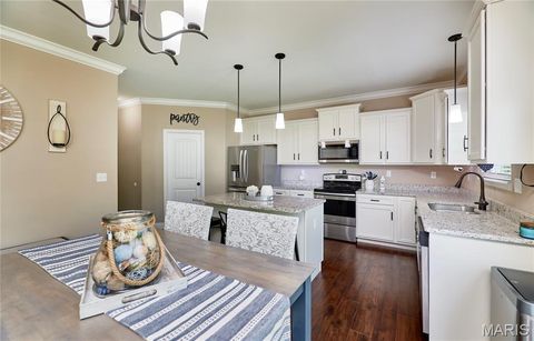 Tiny photo for 103 Pomodora Circle, Wentzville, MO 63385 (MLS # 26025659)