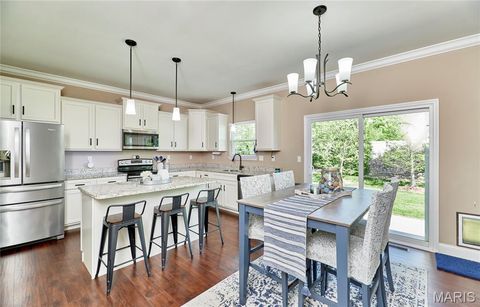 Tiny photo for 103 Pomodora Circle, Wentzville, MO 63385 (MLS # 26025659)