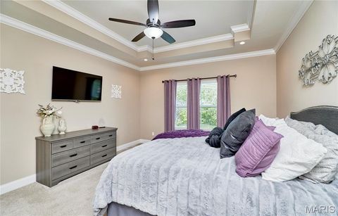 Tiny photo for 103 Pomodora Circle, Wentzville, MO 63385 (MLS # 26025659)