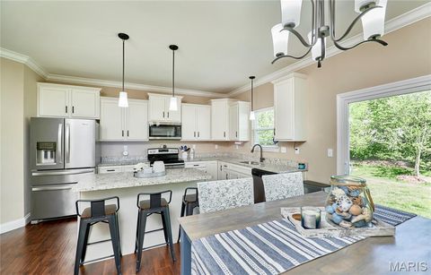 Tiny photo for 103 Pomodora Circle, Wentzville, MO 63385 (MLS # 26025659)