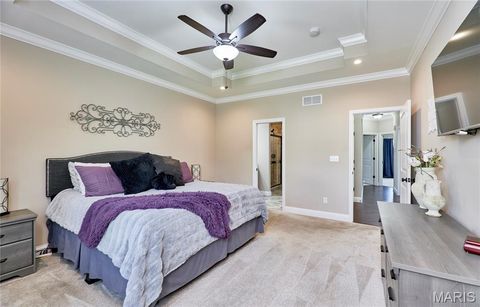 Tiny photo for 103 Pomodora Circle, Wentzville, MO 63385 (MLS # 26025659)