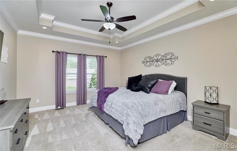 Tiny photo for 103 Pomodora Circle, Wentzville, MO 63385 (MLS # 26025659)