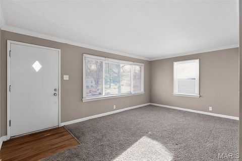 Tiny photo for 10213 Unicorn Drive, St Louis, MO 63137 (MLS # 26016812)