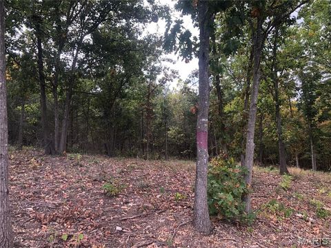 Lot 1B of Hawks Retreat De Soto MO 63020
