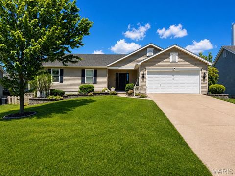Photo of 313 Mahalo Drive, Moscow Mills, MO 63362 (MLS # 26030326)