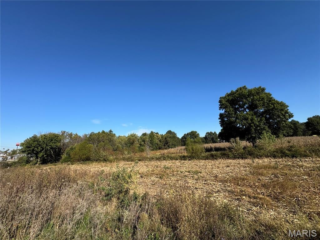 Photo of 00 Booneslick Road, New Florence, MO 63363 (MLS # 26067868)