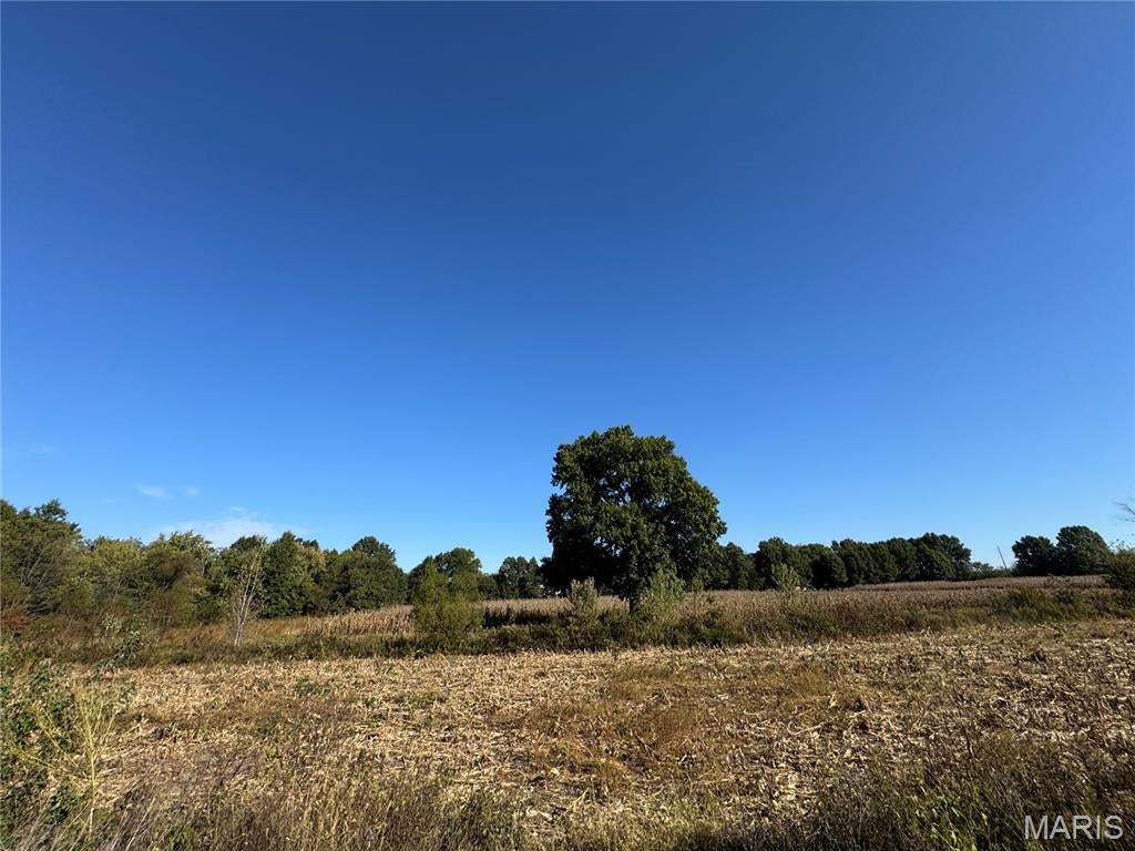 Photo of 00 Booneslick Road, New Florence, MO 63363 (MLS # 26067868)