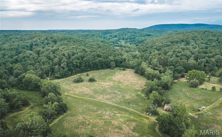 Located just minutes west of Piedmont along County Road 353, this beautiful 80 +/- acre farm offers an outstanding combination of hunting, recreation, and agricultural opportunity. Featuring approximately 30 acres of open pasture with the balance in rolling hardwood timber, the property is well suited for cattle production, outdoor recreation, or a future homestead. The farm has great county road frontage with multiple access points. Electric, 2- wells, and septic utilities are in place from a previous homesite. With no restrictions your options are endless for your new home possibilities. A older barn situated near the center of the property offers plenty of room for storing equipment and farm essentials, adding both convenience and functionality.

Spring fed Lick Branch Creek flows through the property, creating a scenic setting and a reliable water source for wildlife, while the spring fed stocked pond on the north end provides excellent fishing opportunities year-round. This area of Wayne County is well known for its strong populations of whitetail deer and wild turkey, and the diverse mix of pasture, timber, water, and natural habitat makes this farm a true outdoorsman’s paradise. Whether you are searching for a productive cattle farm, a recreational getaway, or a private place to build and enjoy country living, this property offers it all. Properties with this combination of features and location are hard to find. Call today to schedule your private showing.