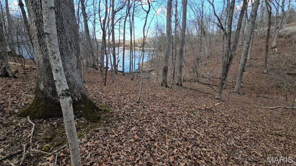 Lake Sherwood Estates - Land