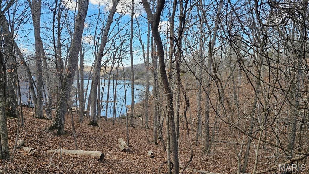 Lake Sherwood Estates - Land