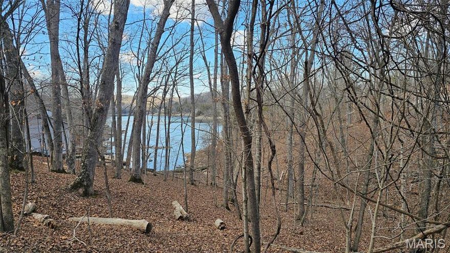 Gorgeous lake view property on Lake Sherwood MO! Come see for yourself! Located in a cove on the South Side near the dam. Property is perfect for a walk out basement style home with a fantastic view of the lake. Store your kayaks close to the back property line and get in the Lake from your own back yard! Buy it for access to Lake Sherwood's amenities, clear it out and maintain for a place to relax, or start building right away... your choice! Gently sloped lot with a beautiful view for a future Lake Sherwood home. Has been previously surveyed, and corner stakes are marked with pink ribbon.  Lake Sherwood is a gated, lake community located in Warren County MO. Owners enjoy use of all Lake Sherwood amenities, Six Lakes (one motorized, five non-motorized), Clubhouse & Lakeside Grill, Sand Beach to swim & play, 24 hour gated/staffed security, Marina, Fishing Docks, and Campground!  No tiny houses, no parking campers at the lot.  Gated community. You must have a Realtor with you to view this property.