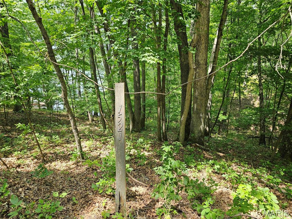 Lake Sherwood Estates - Land