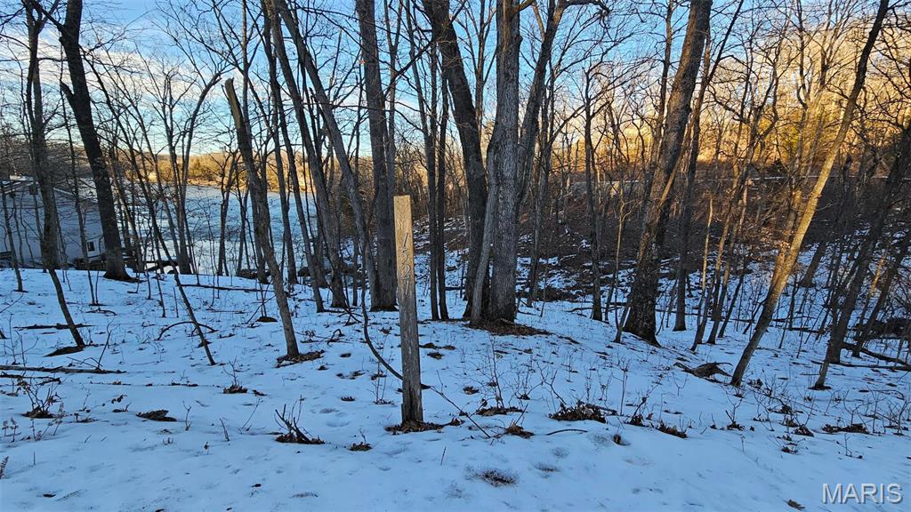 Lake Sherwood Estates - Land