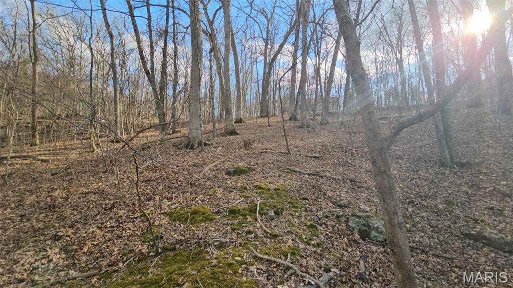 Lake Sherwood Estates - Land