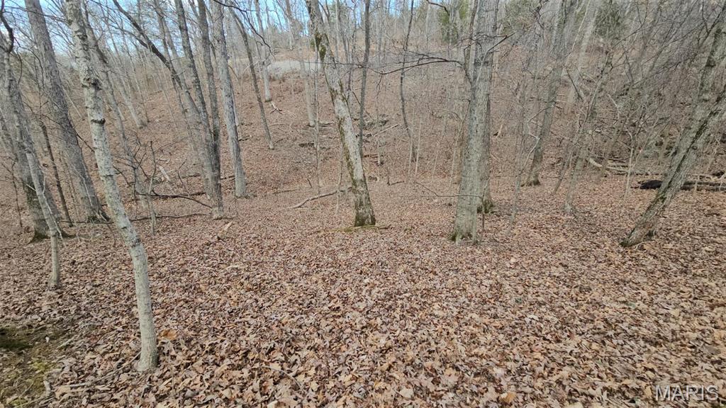 Lake Sherwood Estates - Land