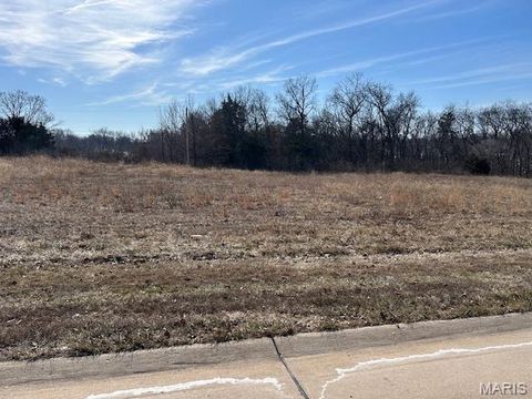 Photo of 1 Main Plaza Drive, Wentzville, MO 63385 (MLS # 26007523)