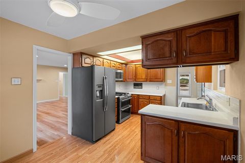 Tiny photo for 1572 N Woodlawn Avenue, St Louis, MO 63122 (MLS # 25076845)