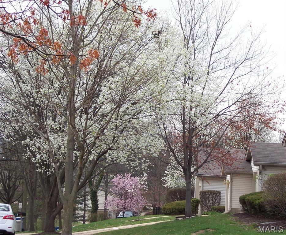Autumn Lakes Condominiums - Residential