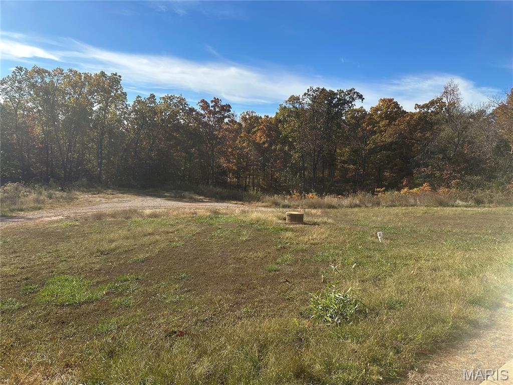 De Soto, Missouri 63020, United States, 3 Bedrooms Bedrooms, ,2 BathroomsBathrooms,Residential,Pending,238457