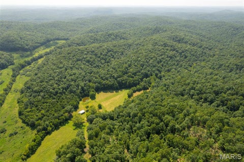 Tiny photo for TBD County Road 445A, Redford, MO 63665 (MLS # 26048587)