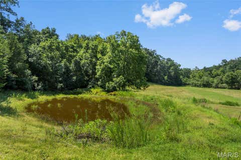 Tiny photo for TBD County Road 445A, Redford, MO 63665 (MLS # 26048587)
