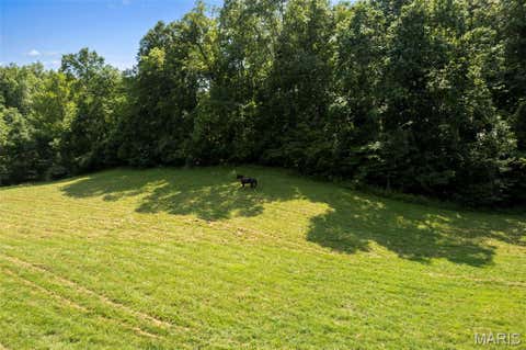 Tiny photo for TBD County Road 445A, Redford, MO 63665 (MLS # 26048587)