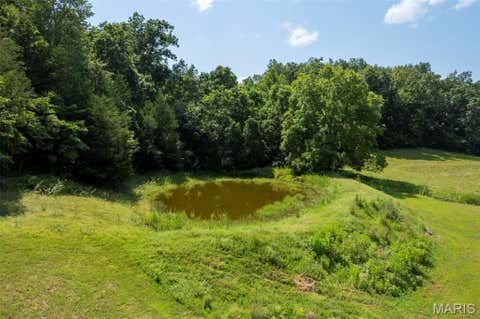 Tiny photo for TBD County Road 445A, Redford, MO 63665 (MLS # 26048587)