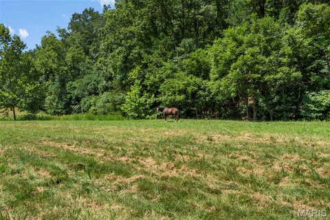 Tiny photo for TBD County Road 445A, Redford, MO 63665 (MLS # 26048587)
